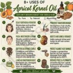 8 uses of apricot kernel oil