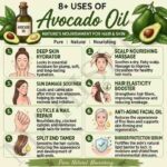 8 uses of avocado oil