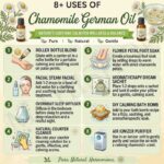 8 uses of chamomile german oil