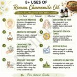 8 uses of chamomile roman oil