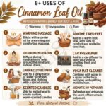 8 uses of cinnamon leaf oil