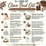 8 uses of clove bud oil