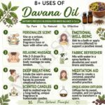 8 uses of davana oil