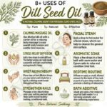 8 uses of dill seed oil