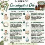 8 uses of eucalyptus oil