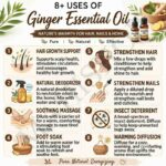 8 uses of ginger essential oil
