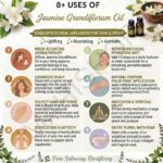 8 uses of jasmine grandiflorum oil