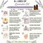8 uses of lavender oil