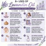 8 uses of lavendin oil