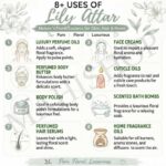 8 uses of lily attar