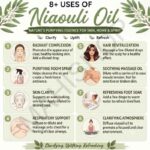 8 uses of niaouli oil