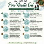8 uses of pine needle oil
