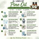 8 uses of pine oil