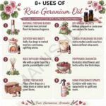 8 uses of rose geranium oil