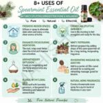 8 uses of spearmint essential oil