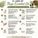 8 uses of thuja essential oil