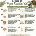 8 uses of thyme essential oil