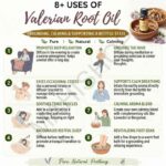 8 uses of valerian root oil