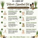 8 uses of vetiver essential oil