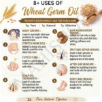 8 uses of wheat germ oil