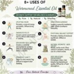 8 uses of wormwood essential oil