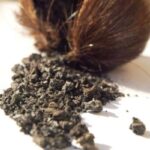 Black Musk Attar
