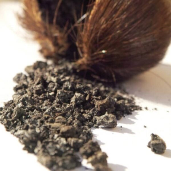 Black Musk Attar