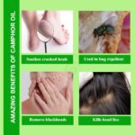 Camphor Oil