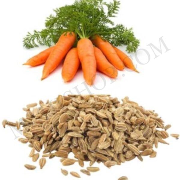 Carrot Seed Essential Oil