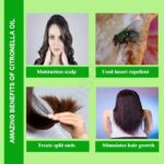Citronella Oil
