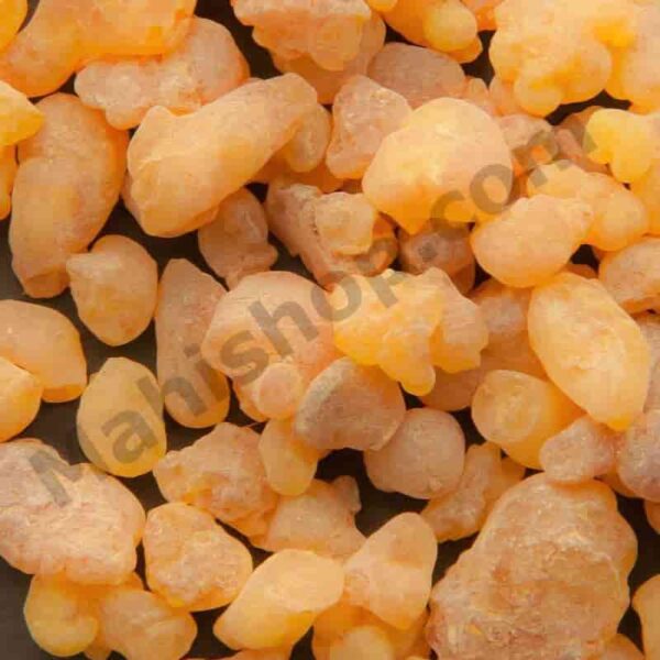 Frankincense Essential Oil