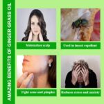 Ginger Grass Oil