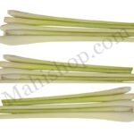 Lemongrass Essential Oil