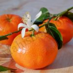 Mandarin Essential Oil