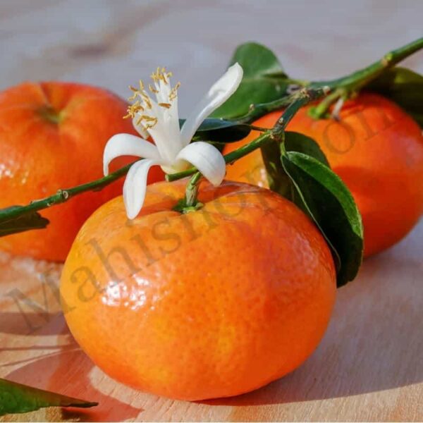 Mandarin Essential Oil