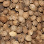 Nutmeg Essential Oil