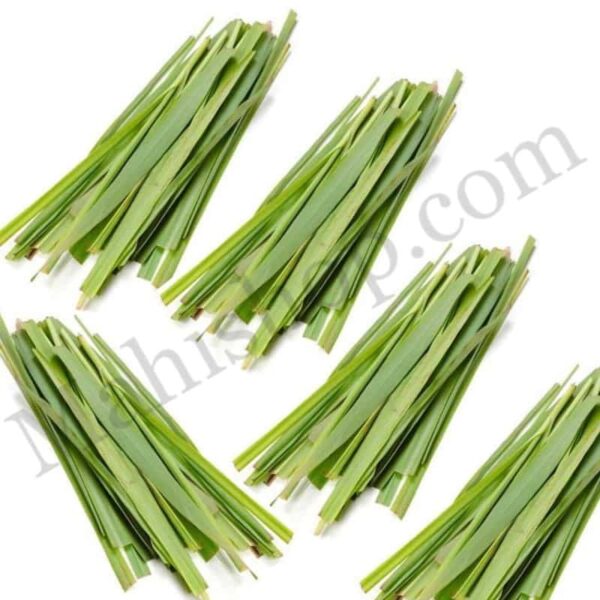 Palmarosa Essential Oil