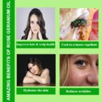 Rose Geranium Oil