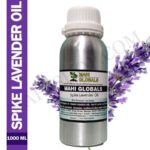 Spike Lavender Essential Oil 1000ml