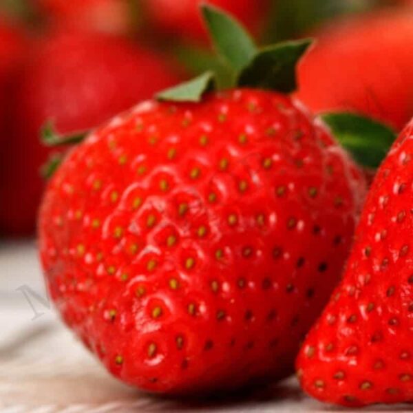 Strawberry Oil