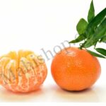 Tangerine Essential Oil