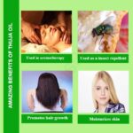 Thuja Oil