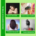 Thyme Oil