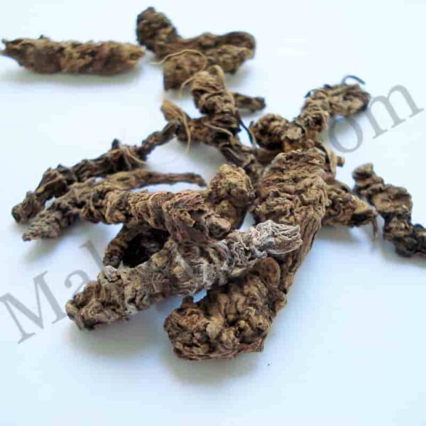 Valerian Root Essential Oil