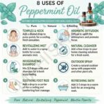 8 uses of peppermint oil