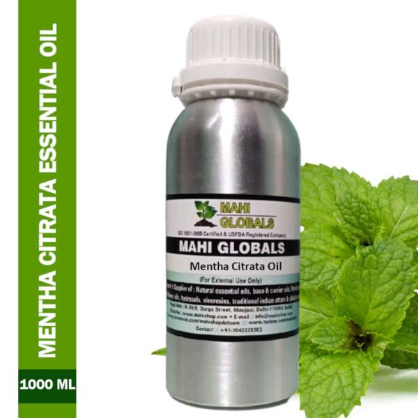 Mentha citrata essential oil 1000ml