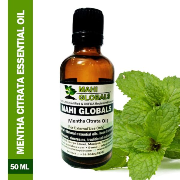 Mentha Citrata Essential Oil 50ml