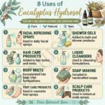 8 uses of Eucalyptus hydrosol