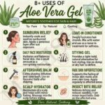 8 uses of aloe vera gel