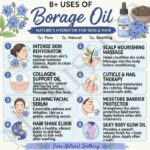 8 uses of borage oil